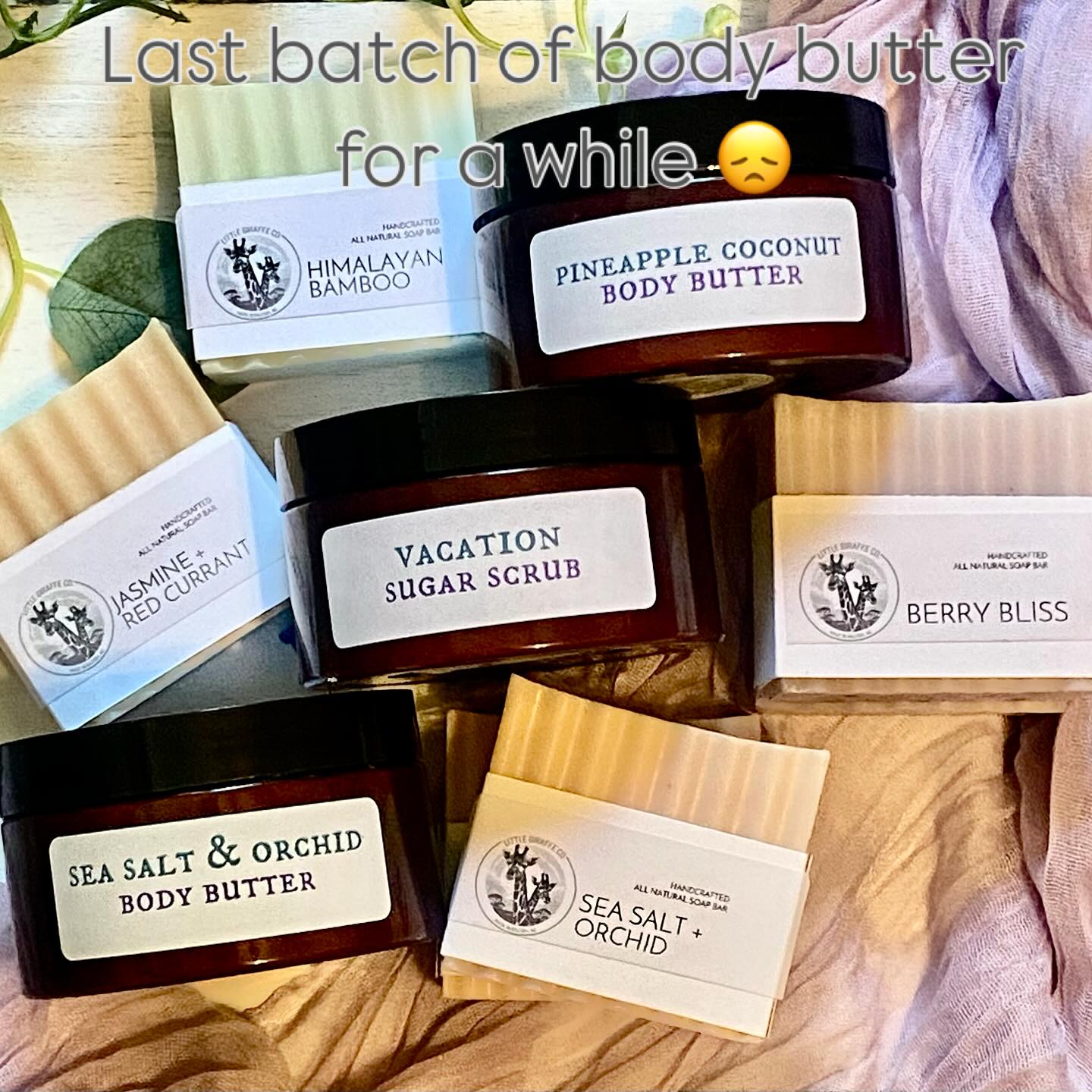 Whipped Body Butter - Pineapple Coconut